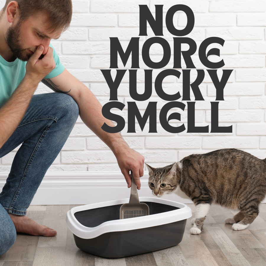 Discover your favorite scent with our new sample pack comes with 1 of each scent. Say goodbye to unpleasant litter box odors with our Kitty Litter Deodorizer! 